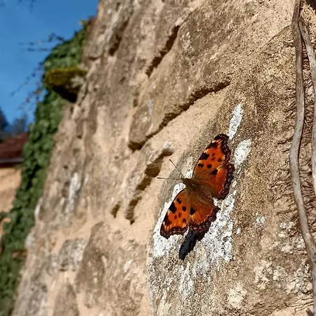 Le Clos De Dom wakacyjny *