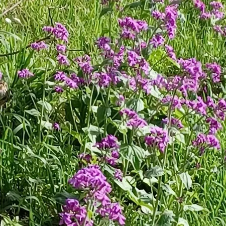 Le Clos De Dom wakacyjny