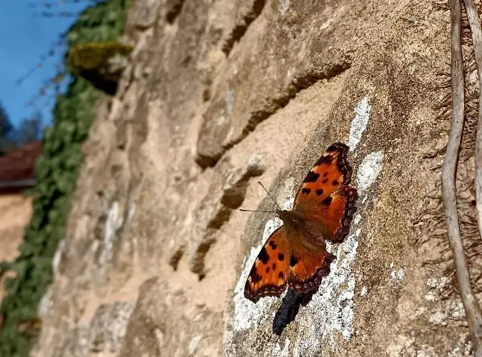 Le Clos De Feriehus *