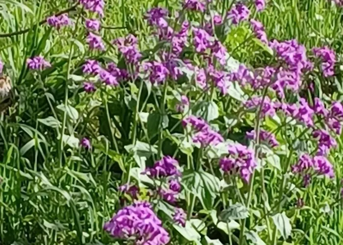 Le Clos De Дом отдыха