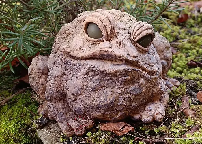 Дом отдыха Le Clos De *